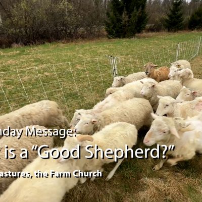 What IS a Good Shepherd?